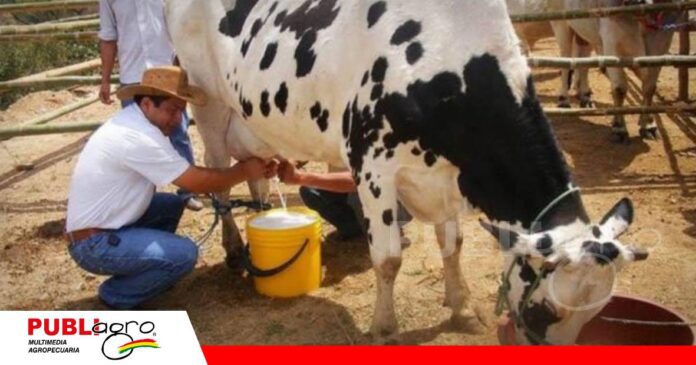 El sector considera elevar el valor de Bs 5 a Bs 10 por litro/ Foto: Internet
