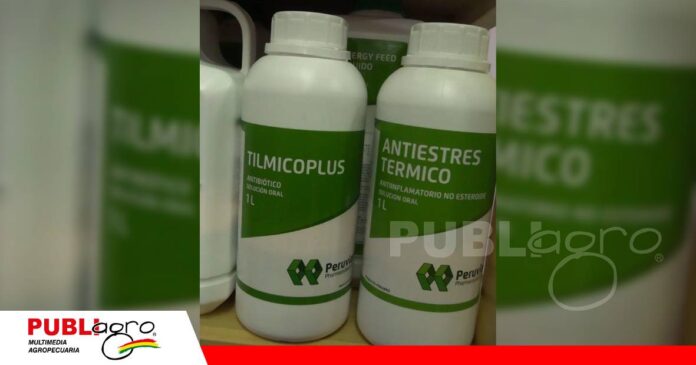 ología y eficiencia para elevar la productividad porcina/ Foto: Publiagro