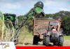 Cañeros apuntan a reducir a menos del 15% el daño de la zafra Solo 15% de reduccion en la zafra de caña/ Foto: Internet