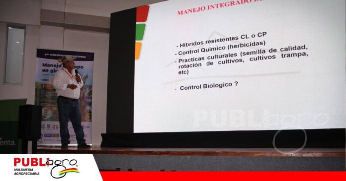 El control biológico se suma a la lucha contra el jopo en el girasol/ Foto: Publiagro