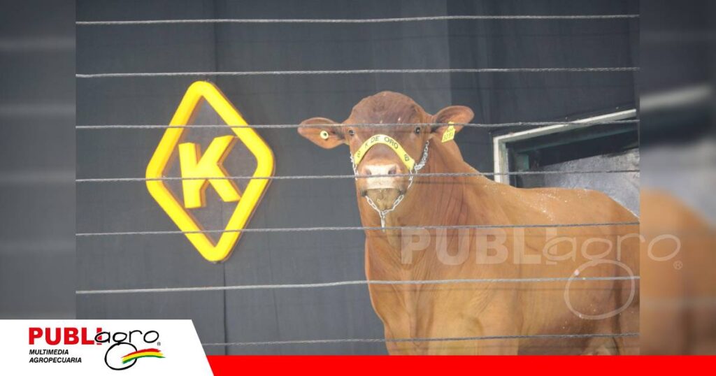 Se vendieron 30 reproductores/ Foto: Publiagro