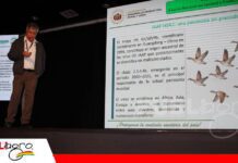 Bolivia fortalece su bioseguridad para mantener el estatus libre de influenza aviar Bioseguridad, clave para preservar a Bolivia libre de influenza aviar/ Foto: Publiagro