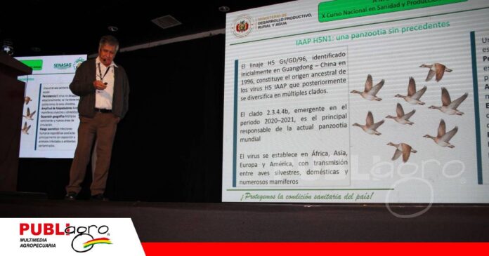 FOTO NOTAS WEB (31) Bioseguridad, clave para preservar a Bolivia libre de influenza aviar/ Foto: Publiagro