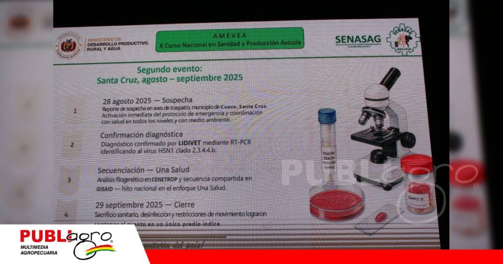 FOTO NOTAS WEB (32) Avicultura boliviana refuerza sus barreras contra la influenza aviar/ Foto: Publiagro