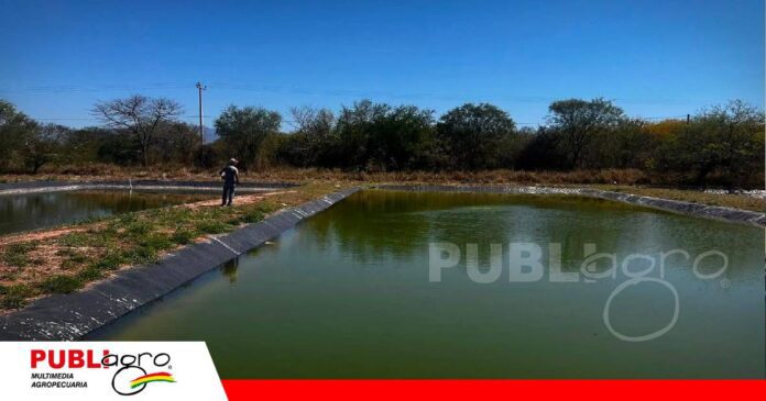 FOTO NOTAS WEB (34) Piden mantener en Villa Montes el Centro Piscícola del INIAF/ Foto: Internet