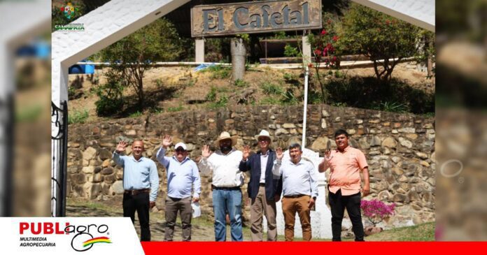 Café de altura de Samaipata apunta al mercado chino/ Foto: Gobierno Municipal de Samaipata