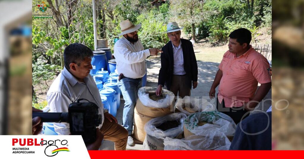 Samaipata proyecta su café de altura/ Foto:Gobierno Municipal de Samaipata