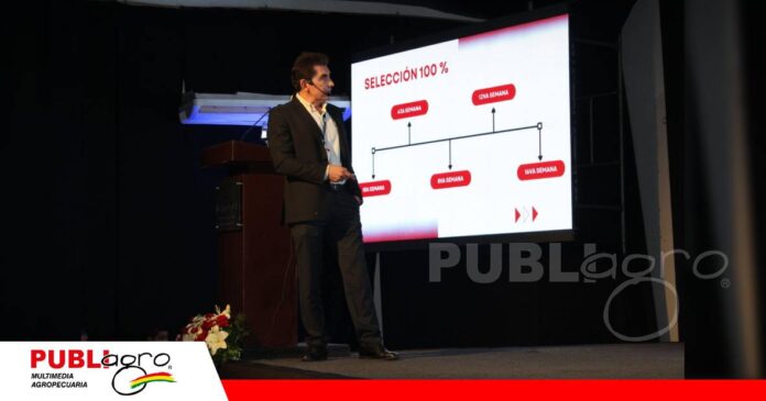 FOTO NOTAS WEB (38) La uniformidad marca el éxito en la reproductora pesada/ Foto: Publiagro
