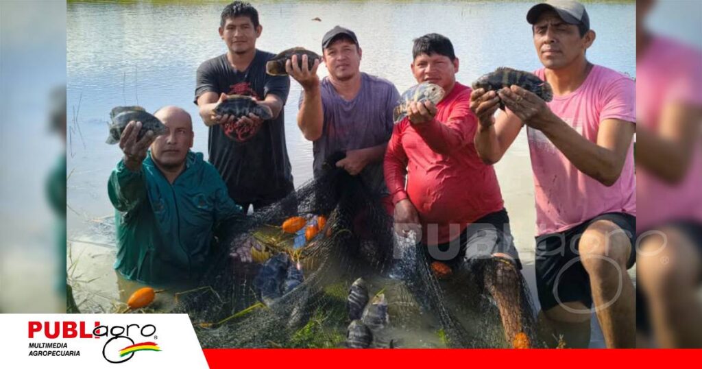 Entre el agua y la tierra nace una nueva alternativa para el Beni/ Foto: Iniaf