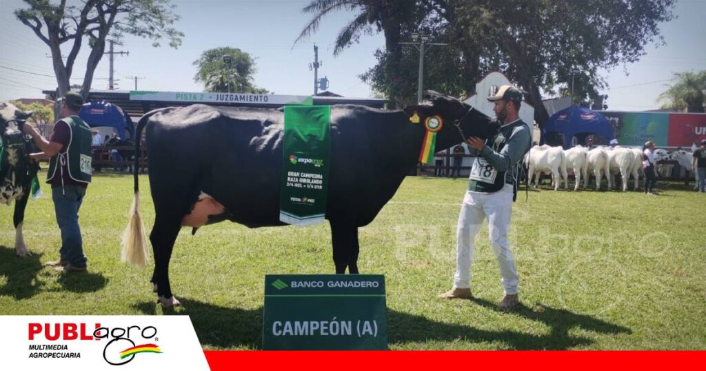 FOTO NOTAS WEB (52) Grupo Rojas es la cabaña que trabaja a Andy/ Foto: Publiagro