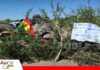 Productores de Cuatro Cañadas refuerzan bloqueo y esperan al Gobierno para iniciar diálogo Bloqueo en la carretera en Cuatro Cañadas, San Julián y Yapacaní/ Foto: Internet