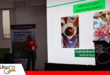 Imidazolinonas muestran alta eficacia contra el jopo en girasol Aplicar en el momento preciso, la clave para controlar el jopo/ Foto: Publiagro