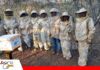 Mujeres guaraníes fortalecen su organización y producción apícola en Santa Rosa La apicultura abre nuevas oportunidades para mujeres guaraníes/ Foto: Publiagro