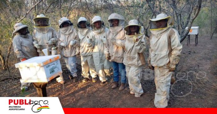 La apicultura abre nuevas oportunidades para mujeres guaraníes/ Foto: Publiagro