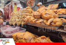 Sin diésel para sacar el pollo de granja: El precio cae en mercados y el sector avícola reporta pérdidas millonarias Atribuyen la caída del precio a una sobrepoblación de pollos en las granjas/ Foto: Internet