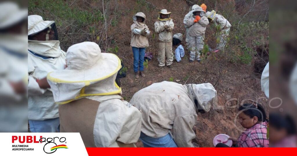 Mujeres guaraníes unen esfuerzos/ Foto: Publiagro