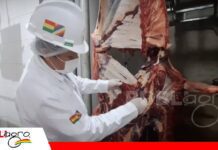 Bolivia bajó su producción y exportación de carne de res en 2025 Baja producción y exportación de carne/ Foto: Internet