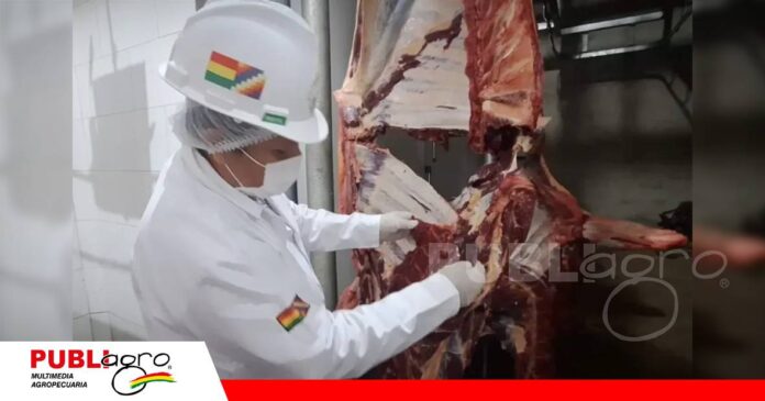 FOTO NOTAS WEB (76) Baja producción y exportación de carne/ Foto: Internet