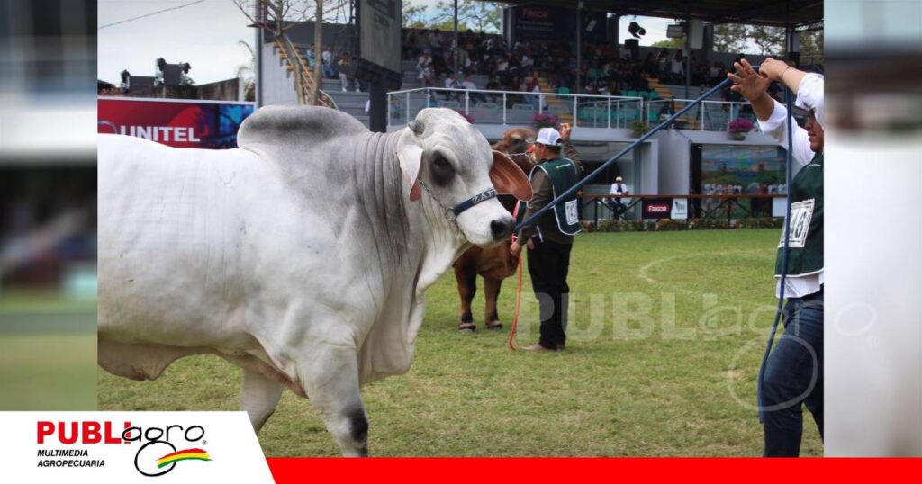 Condominio Zafira cada consigue importantes logros en ferias/ Foto:Publiagro