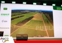 Suelo vivo, producción que crece en Santa Rosa de La Roca De tecnologías aisladas a un sistema que devuelve vida al suelo/ Foto: Publiagro