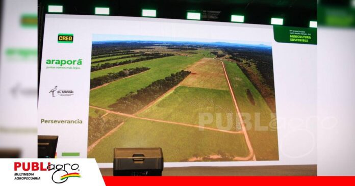 FOTO NOTAS WEB (8) De tecnologías aisladas a un sistema que devuelve vida al suelo/ Foto: Publiagro