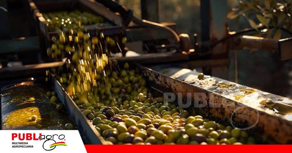 FOTO NOTAS WEB (83) De árboles de sombra a una nueva oportunidad productiva para Tarija/ Foto: Internet