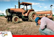 Falta de diésel paraliza maquinaria agrícola y pone en riesgo la producción de trigo en cuatro regiones de Chuquisaca La escasez de diésel reduce cultivos en Chuquisaca hasta un 50% / Foto: Internet