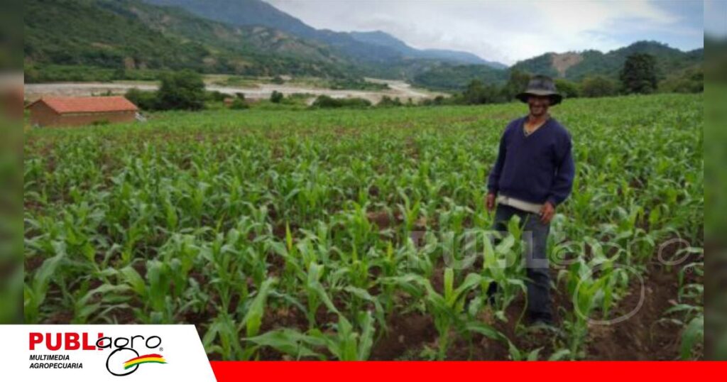 Productores preocupados por falta de diésel / Foto: Correo del Sur