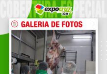 📷Galería de fotos | Faena Técnica de Búfalos