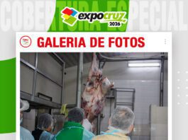 📷Galería de fotos | Faena Técnica de Búfalos