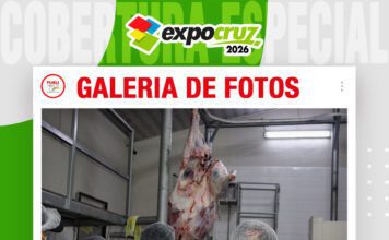 📷Galería de fotos | Faena Técnica de Búfalos