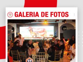 📷Galería de fotos | Gala de Excelencia fue un éxito