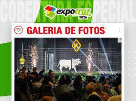 📷Galería de fotos | Gran Brahman Show de K de Oro, todo un éxito