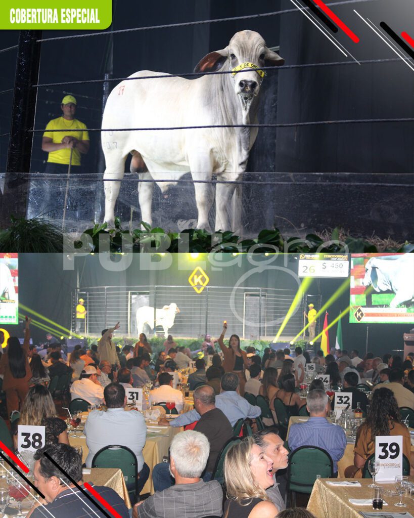 Gran-Brahman-Show-de-K-de-Oro,-todo-un-e虂xito16