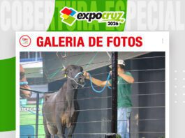 📷Galería de fotos | Gran Remate Pinturas Girolando