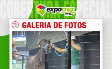 📷Galería de fotos | Gran Remate Pinturas Girolando