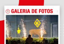 📷Galería de fotos | Gran Show Senepol de K De Oro