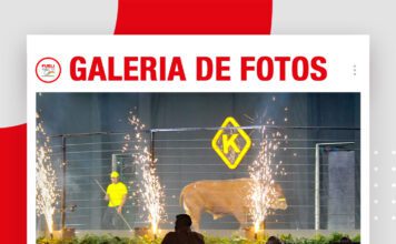 📷Galería de fotos | Gran Show Senepol de K De Oro