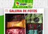 📷Galería de fotos | Helados Cayara llega a Expocruz 2026