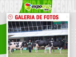 📷Galería de fotos | Holando y Pardo Suizo muestran su calidad genética en Expocruz
