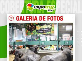 📷Galería de fotos | Ingreso de búfalos a Expocruz 2026