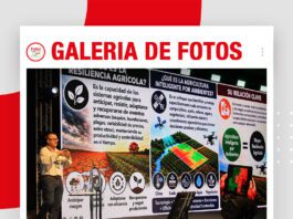 📷Galería de fotos | Agricultura Inteligente por ambiente