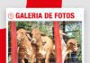 📷Galería de fotos | Joyas del Brahman de San Luis del Cuchi