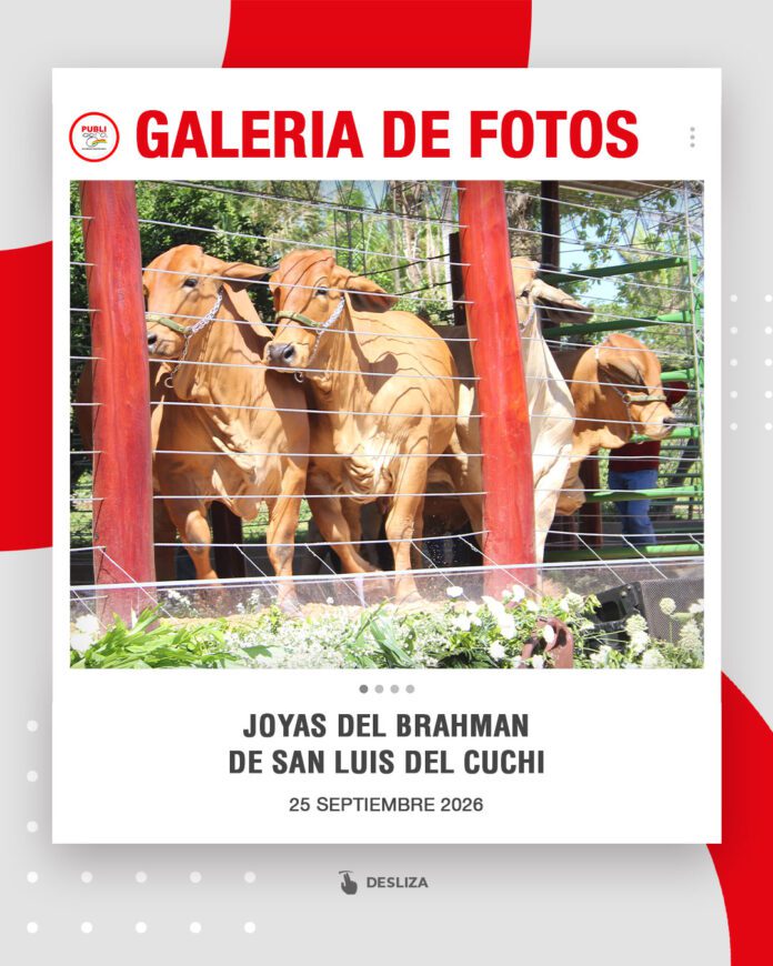Joyas-del-Brahman-de-San-Luis-del-Cuchi0