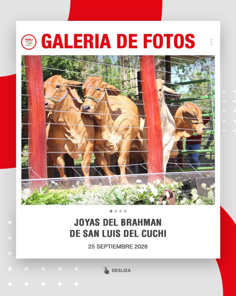 Joyas-del-Brahman-de-San-Luis-del-Cuchi0