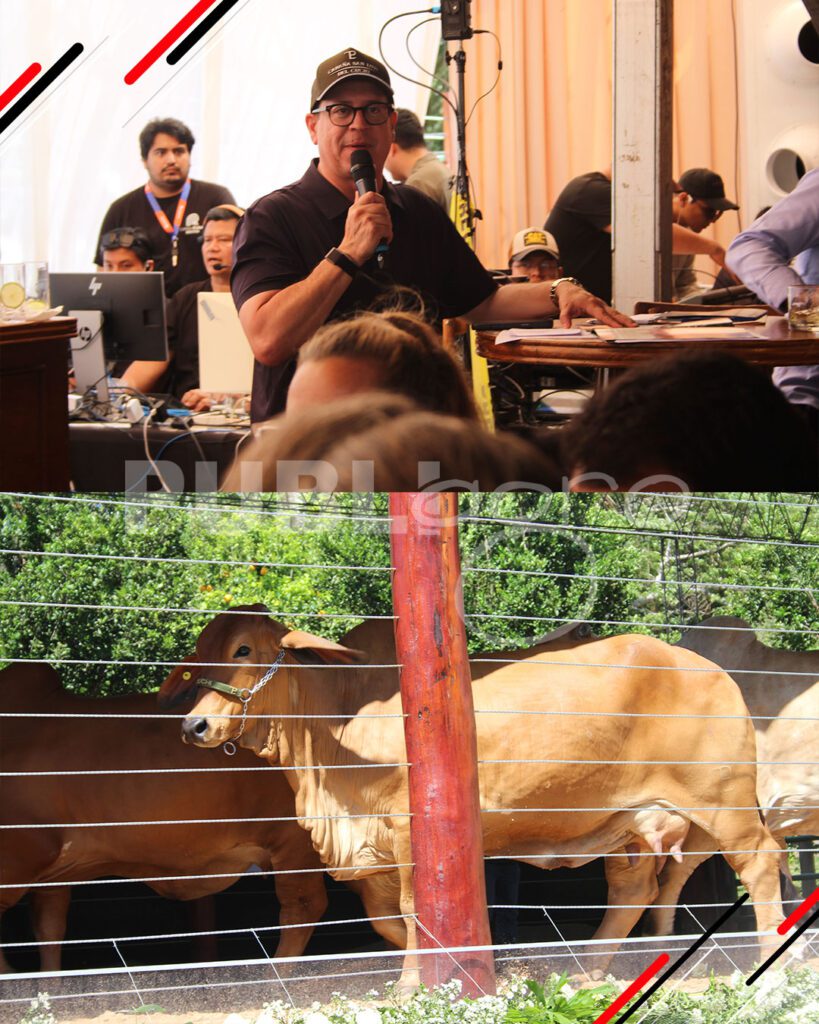 Joyas-del-Brahman-de-San-Luis-del-Cuchi15
