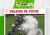 📷Galería de fotos | Juzgamiento razas Nelore y Nelore Mocho