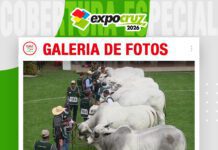 📷Galería de fotos | Juzgamiento razas Nelore y Nelore Mocho