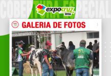 📷Galería de fotos | Juzgamientos razas Gyr y Girolando machos