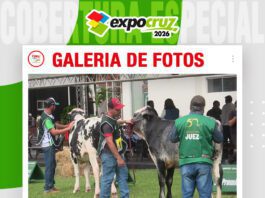 📷Galería de fotos | Juzgamientos razas Gyr y Girolando machos